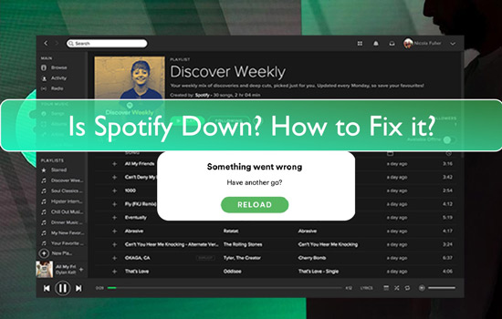 Spotify Is Down: Why and How to Solve