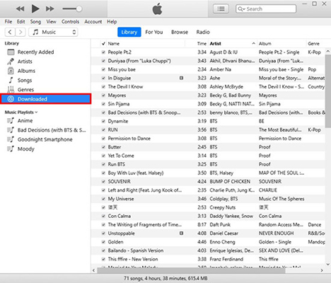 downloaded songs on itunes