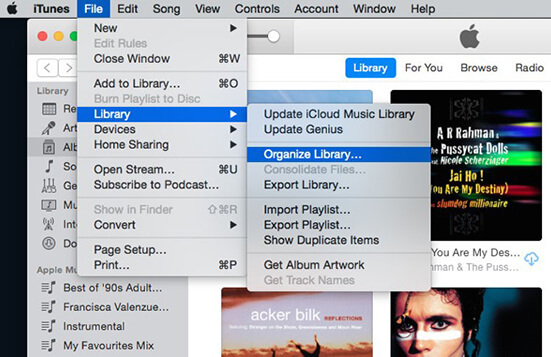 organize itunes library