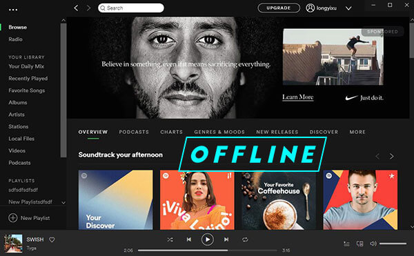 listen to spotify offline