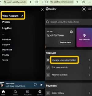 locate your spotify plan