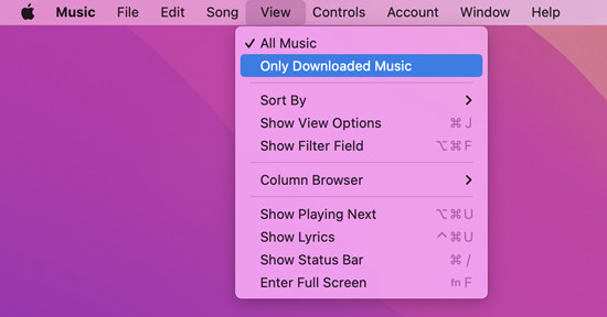 filter only downloaded apple music on mac