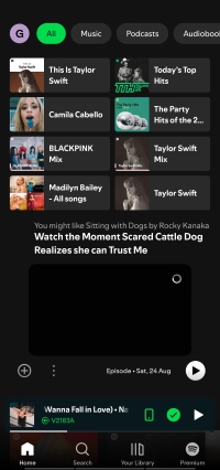 main interface of spotify