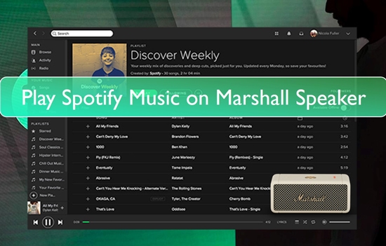 marshall spotify