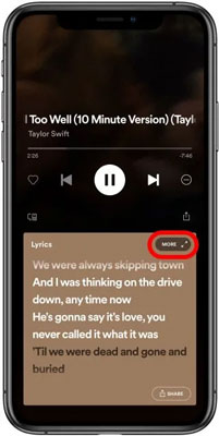 hit on more tab on spotify lyrics screen mobile