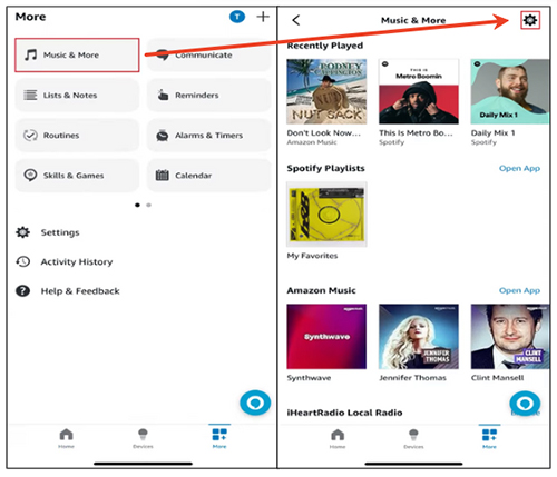 music and more option on alexa