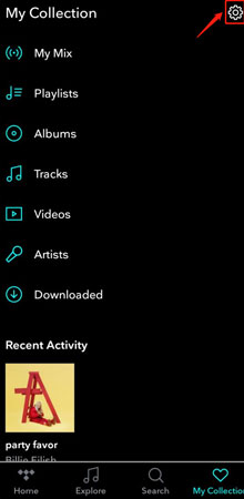 settings on tidal