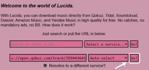 paste qobuz music url to lucida