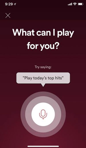 play spotify music via voice