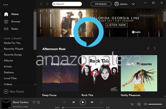 play spotify on alexa
