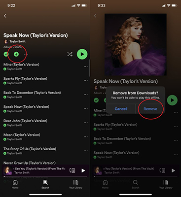remove downloaded playlist from spotify