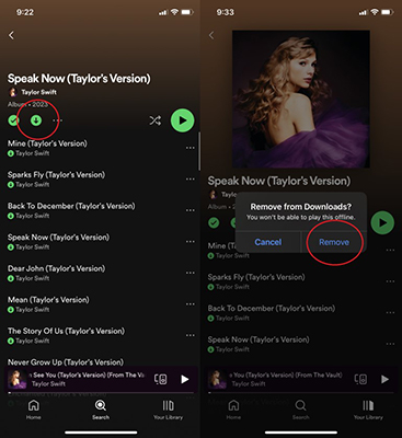 remove downloads from spotify to solve spotify download limit reached