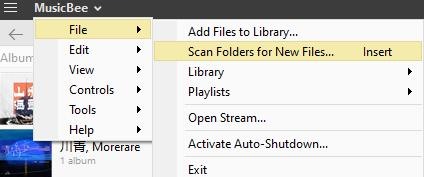 scan folders for new files in musicbee