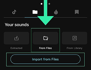 choose spotify music from device on capcut