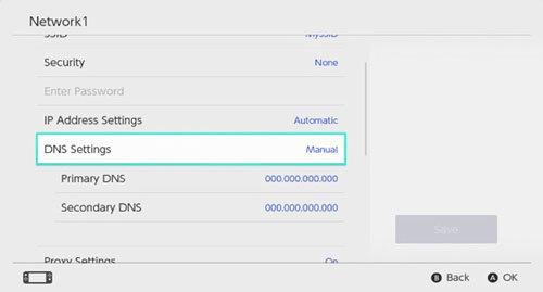 set primary dns on nintendo