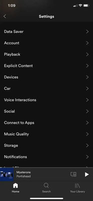 go to settings on spotify mobile app