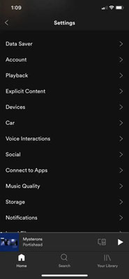 open spotify settings