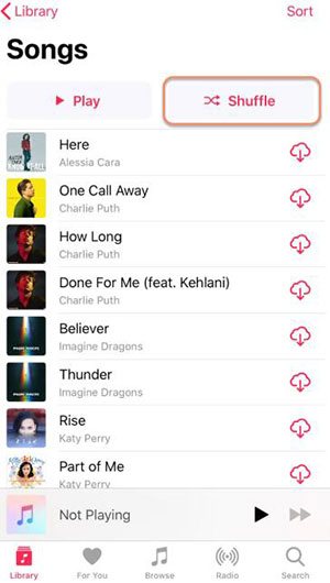 shuffle all songs on iphone