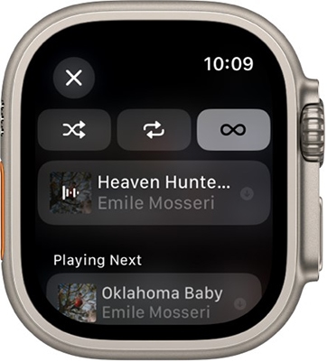 shuffle or repeat apple watch on apple watch