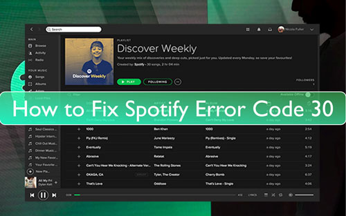 spotify error code 30