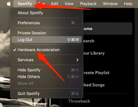 disable hardware acceleration on spotify mac