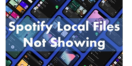 spotify local files not showing