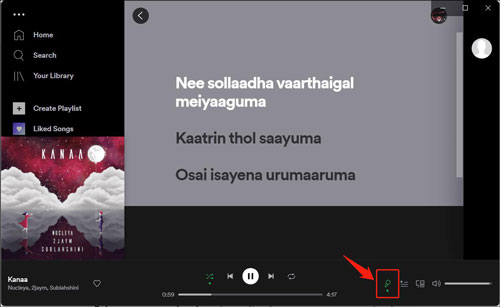 have lyrics on spotify pc