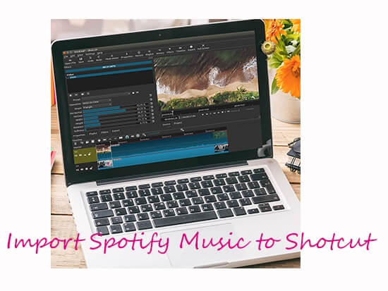 import spotify music to shotcut