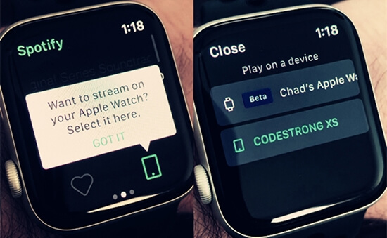 control spotify with apple watch