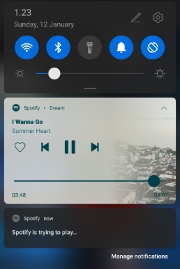 play spotify while playing roblox