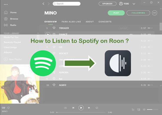 spotify on roon