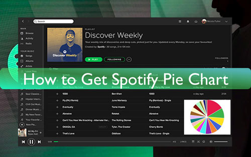 see spotify pie chart