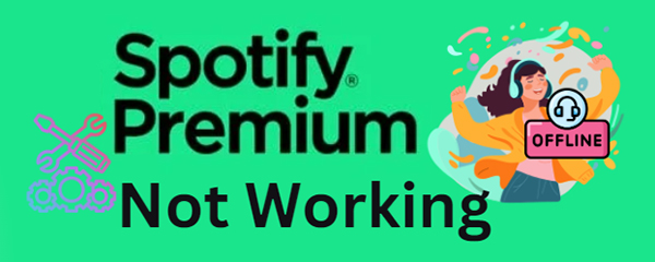 spotify not working offline