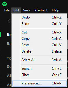 preferences settings on spotify desktop app