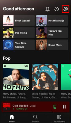 spotify settings mobile