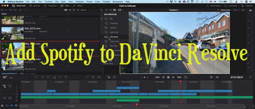 add spotify to davinci resolve