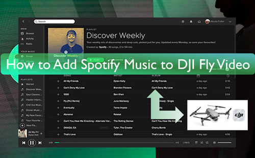 import spotify music to dji fly