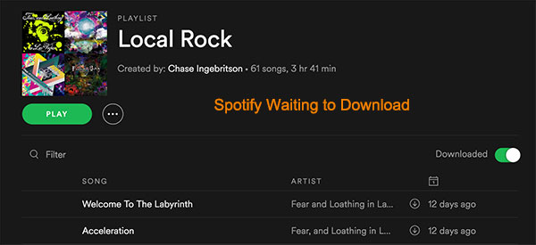 spotify waiting to download