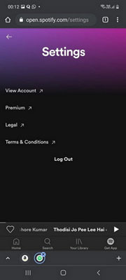 spotify web player settings on mobile