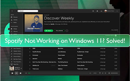 spotify not working on windows 11