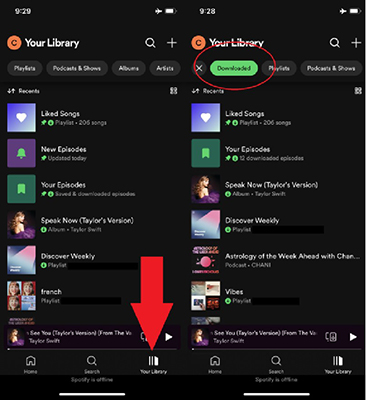 downloaded spotify music in your library mobile