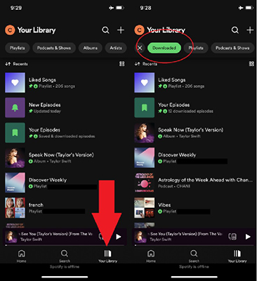 where does spotify download music to android iphone