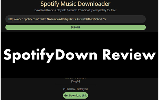 spotifydown review