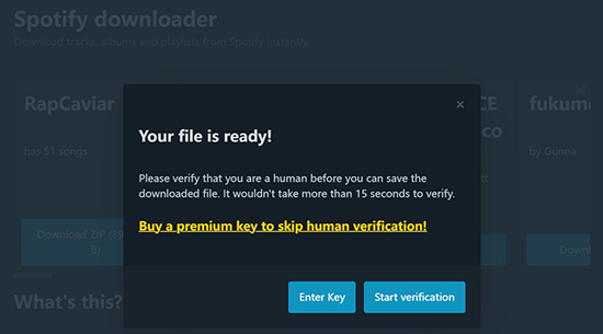 spotifydownloader verification