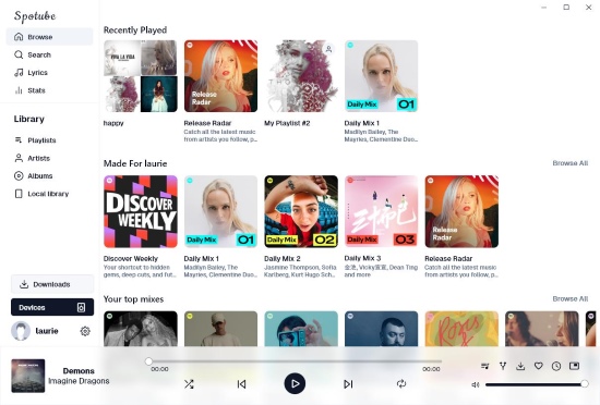 spotube interface