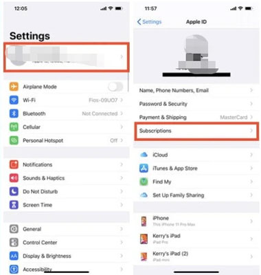 subscriptions option in iphone settings app