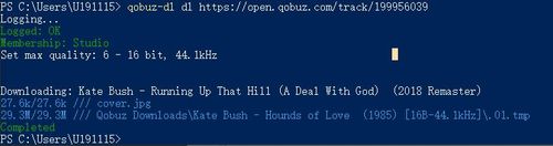 successfully download qobuz music with qobuz dl