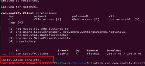 Successfully Install Spotify with Flatpak