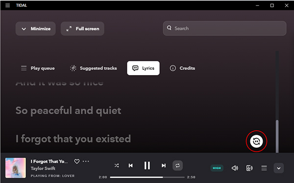 sync tidal lyrics