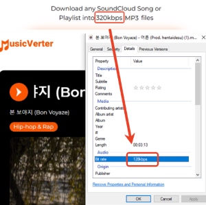 test result for soundcloud online donwnloader